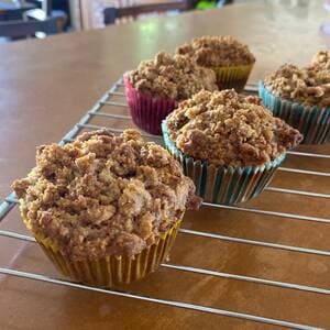 Pumpkin Oat Muffins