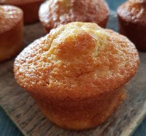 One Minute Flax Meal Muffin