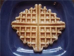 Yogurt Waffles