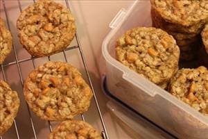 Oatmeal Scotchies Cookies