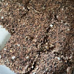 Black Sesame Sunflower Bread