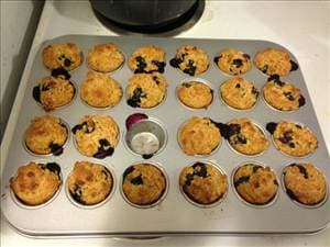 Yogurt Blueberry Muffins