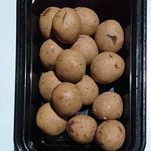 Protein Balls